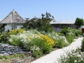 butterfly garden - 2 101-011.jpg