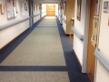 heritage scu 009.jpg